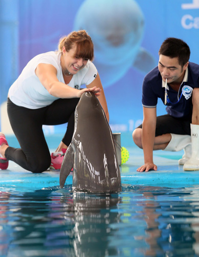 找空位队友 找空位队友